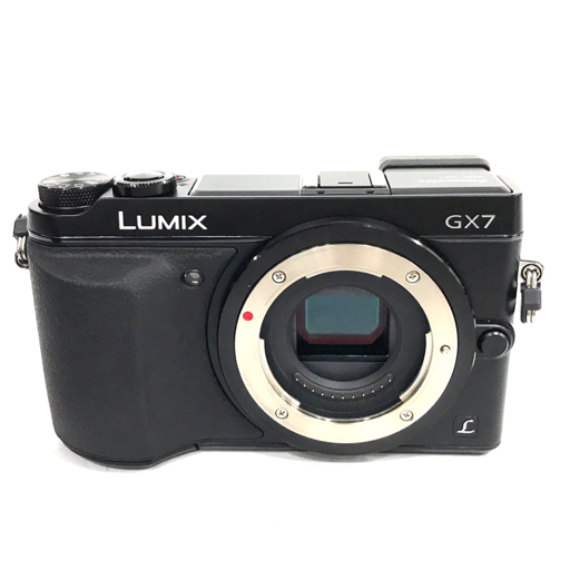 Panasonic LUMIX DMC-GX7 G VARIO 1:3.5-5.6/12-60 ASPH. ミラーレス一眼 デジタルカメラ_画像2