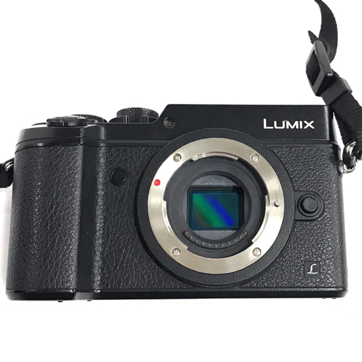 Panasonic LUMIX DMC-GX8 ミラーレス一眼 デジタルカメラ QR022-375_画像2