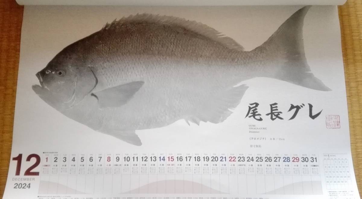 カレンダー☆魚拓☆2024年/令和6年☆ シマノ☆壁掛けカレンダー☆店名印無_画像8