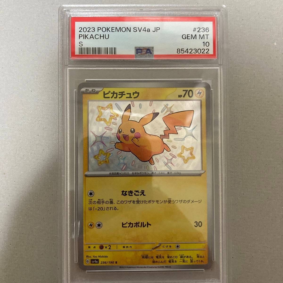 ピカチュウs psa10 シャイニートレジャー (60部限定) - miyomcerrahisi.com ピカチュウs psa10 シャイニートレジャー (60部限定) - miyomcerrahisi.com