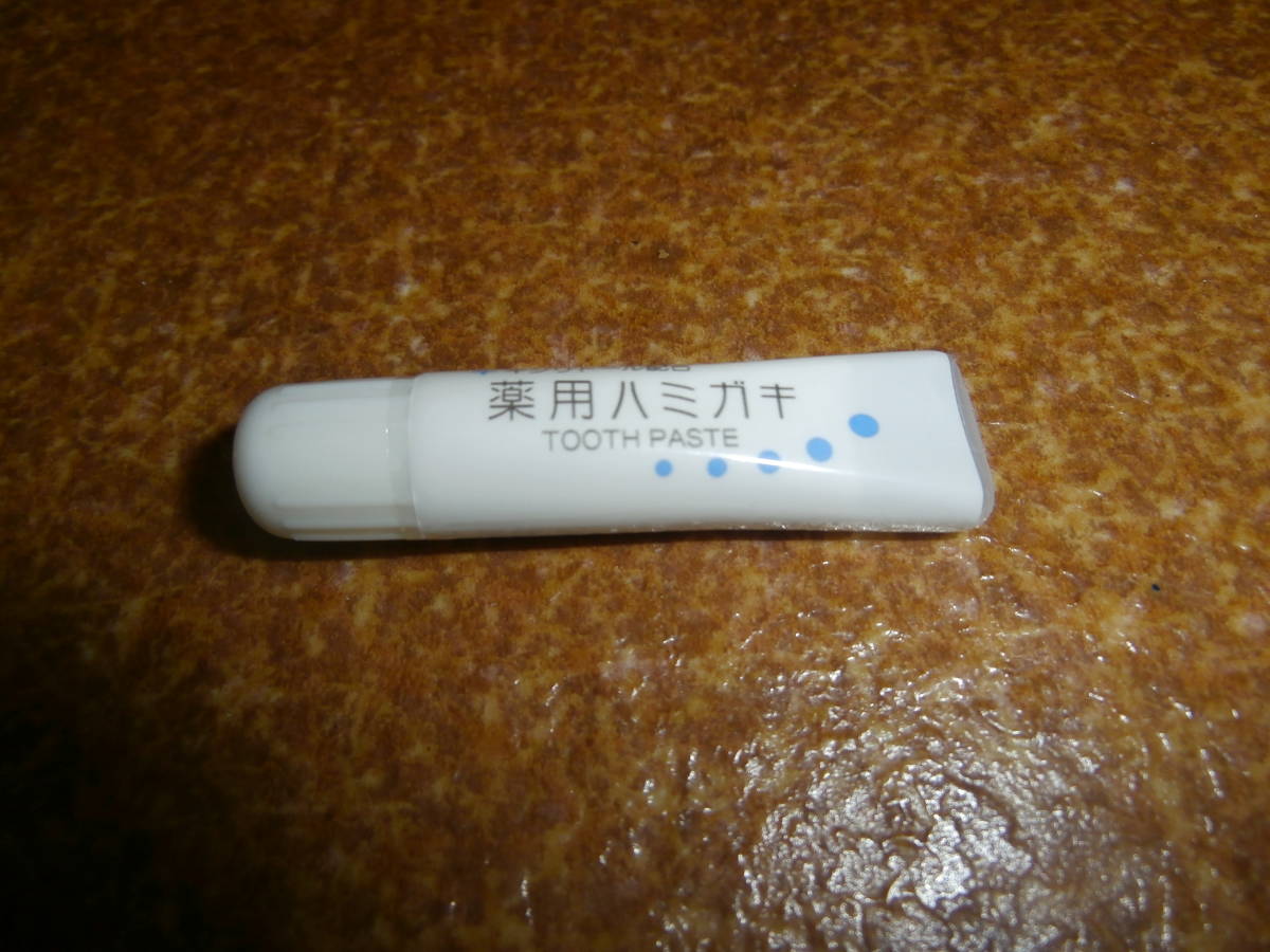 歯磨き粉　ミニ　_B