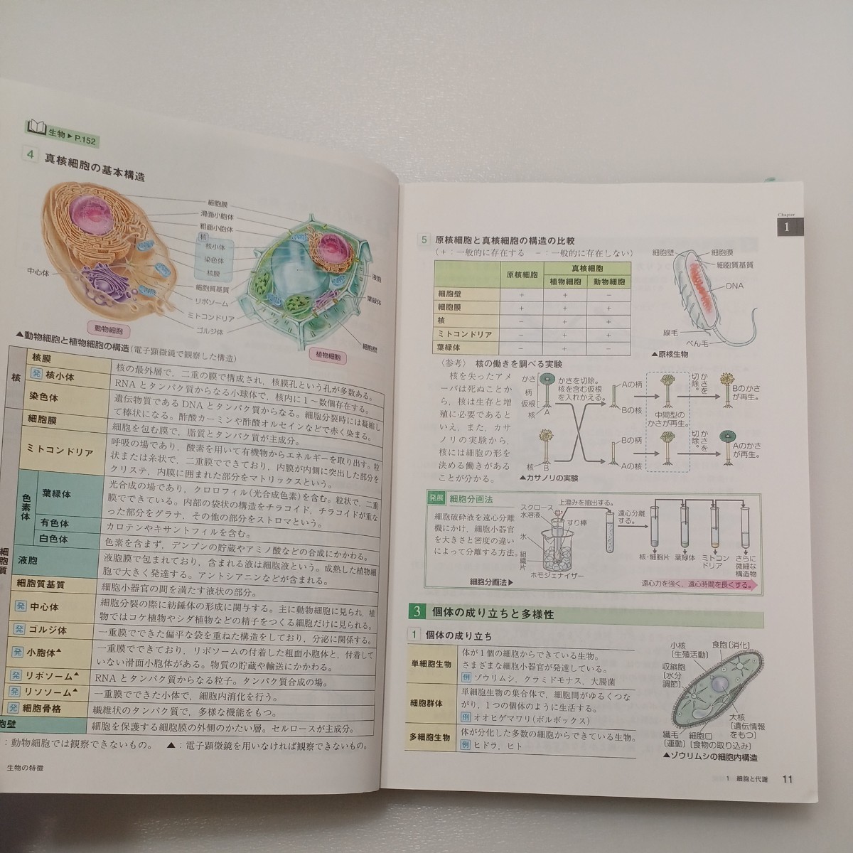 zaa-541 センサー総合生物 - 解答編付 生物基礎 生物 (改訂版 zaa-541 センサー総合生物 - 解答編付 生物基礎 生物 (改訂版