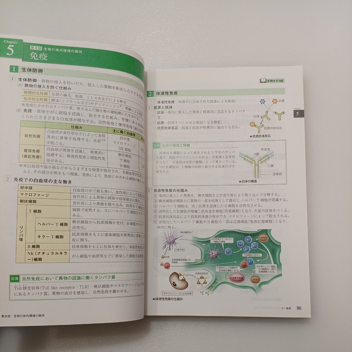 zaa-541 センサー総合生物 - 解答編付 生物基礎 生物 (改訂版 zaa-541 センサー総合生物 - 解答編付 生物基礎 生物 (改訂版