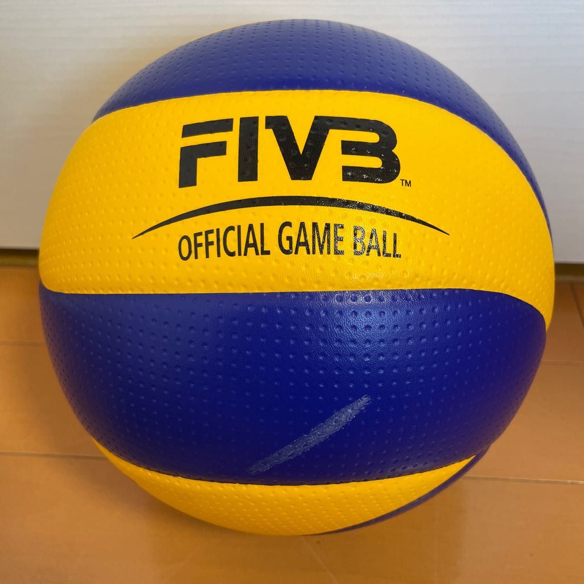 Vプレミアリーグ 女子バレーボールチーム 東レアローズ 黒後愛 Vプレミアリーグ 女子バレーボールチーム 東レアローズ 黒後愛