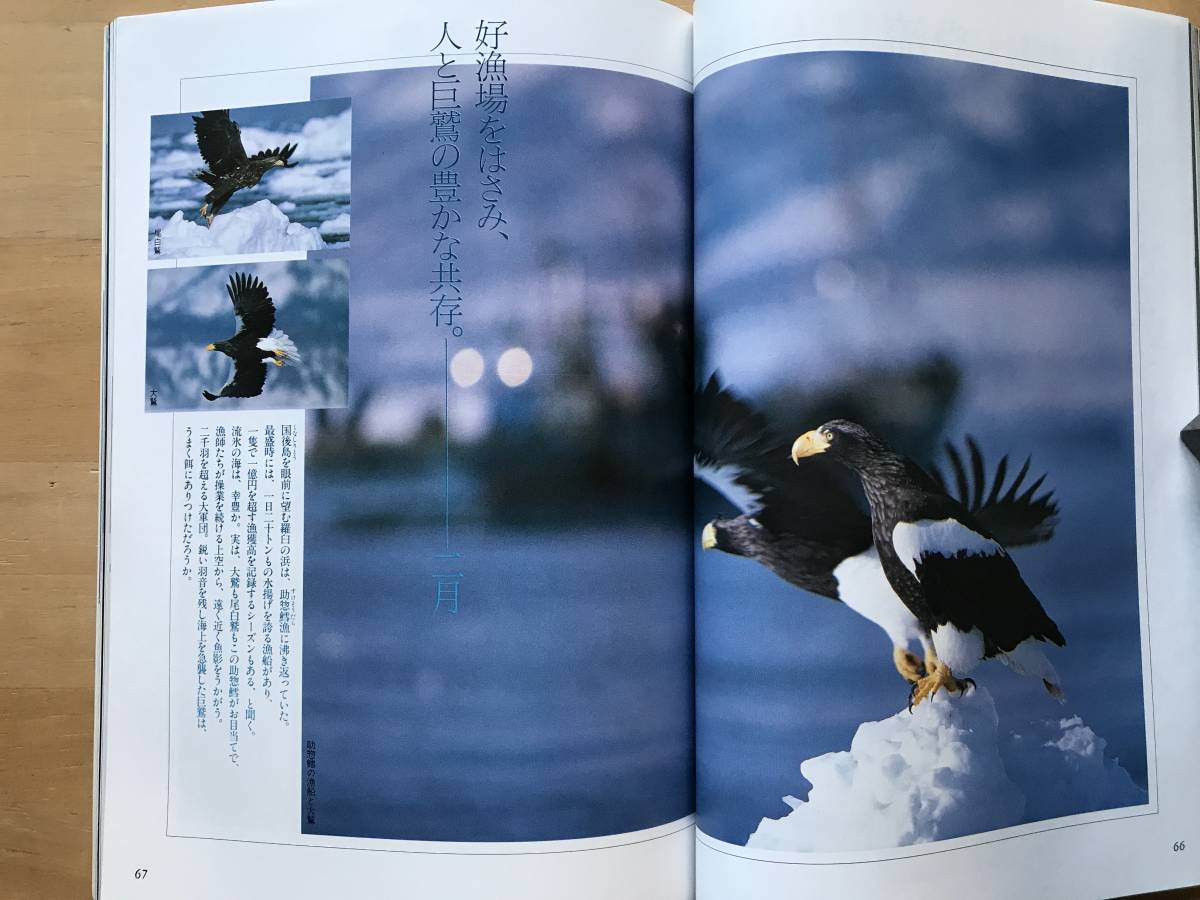 『季刊 銀花 第73号 勅使河原宏の空間・尾張の山車祭 からくり人形見聞』観世栄夫・吉原すみれ・神田日勝 他 文化出版局 1988年刊 08828_画像7