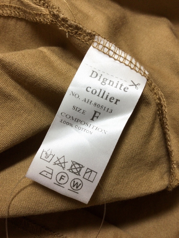 Dignite collier 茶色のTシャツ I‘M STILL HERE サイズF_画像5