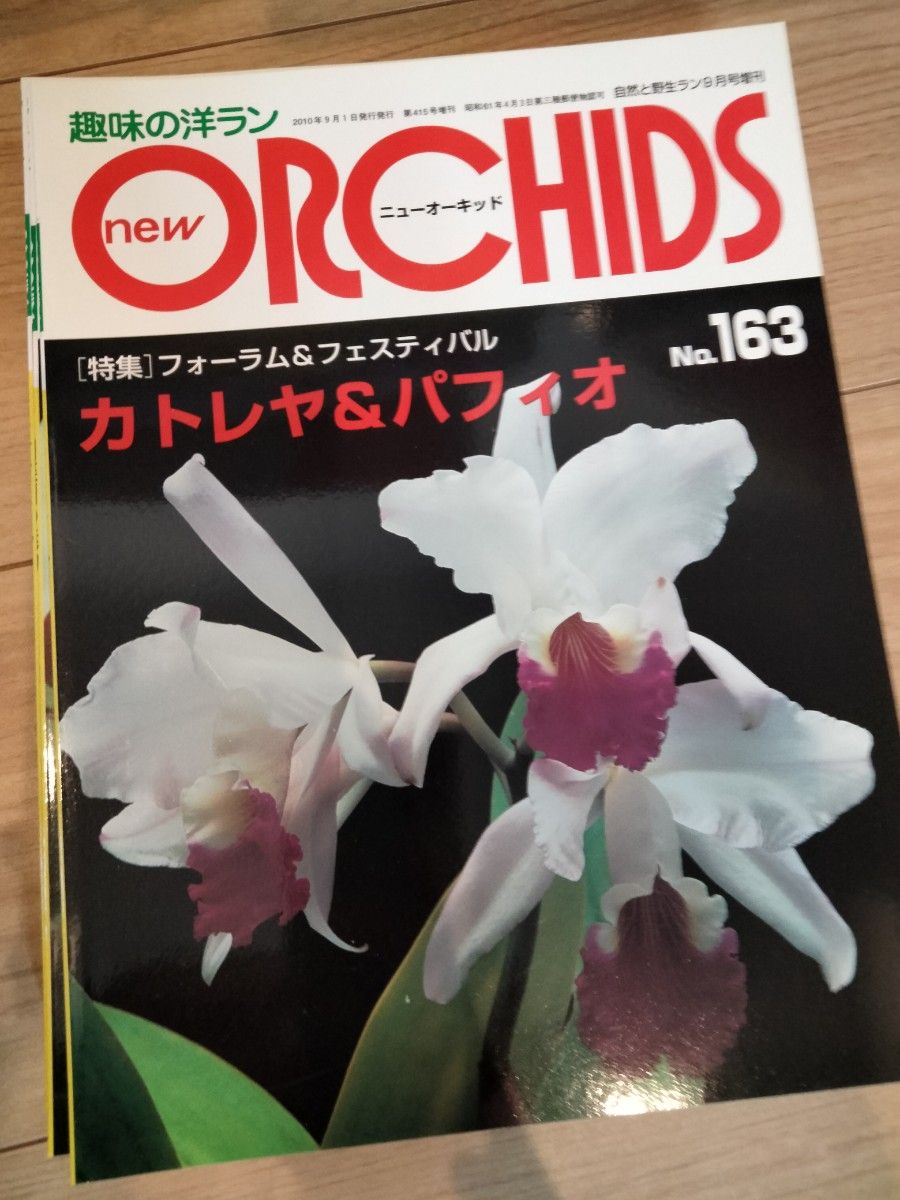 ORCHIDS ニューオーキッド趣味の洋らん　 ニューオーキッド No160~170　　11冊 趣味の洋ラン