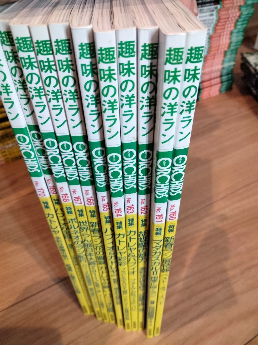 ORCHIDS ニューオーキッド趣味の洋らん　 ニューオーキッド No160~170　　11冊 趣味の洋ラン