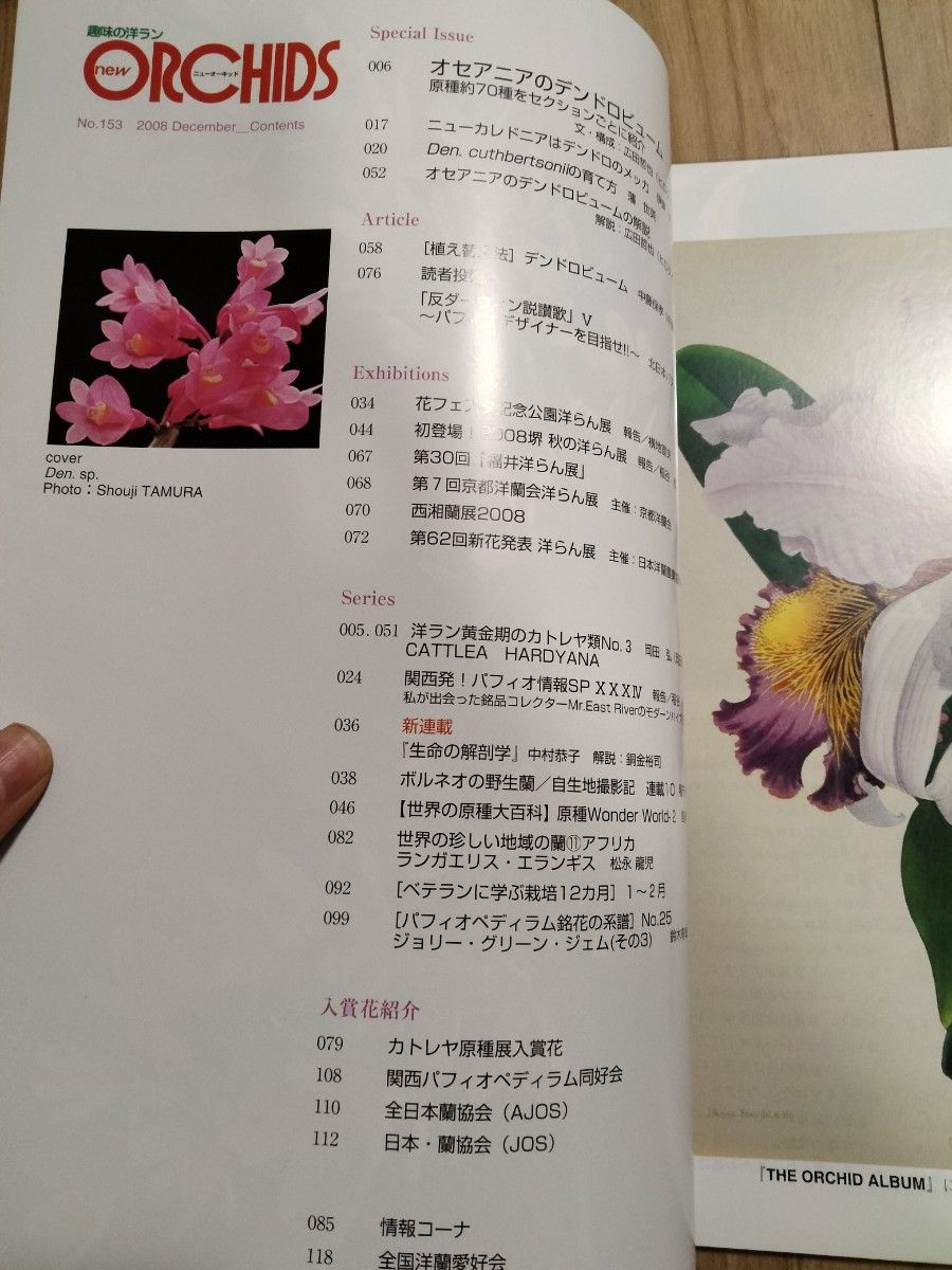 New Orchids趣味の洋らん　 ニューオーキッド　No153 趣味の洋ラン ORCHIDS 洋らん情報誌