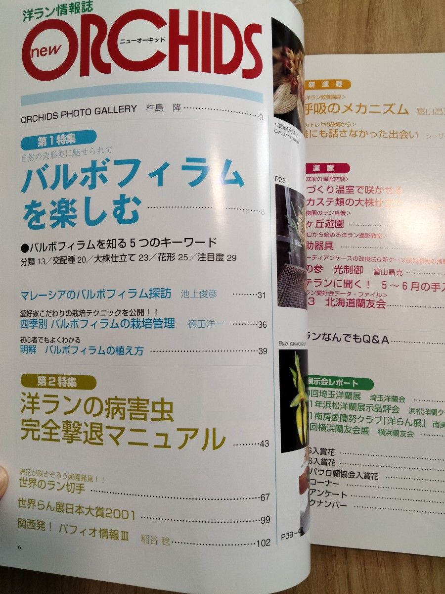 ニューオーキッド 洋らん情報誌 ORCHIDS洋らんの情報誌 ニューオーキッド No107