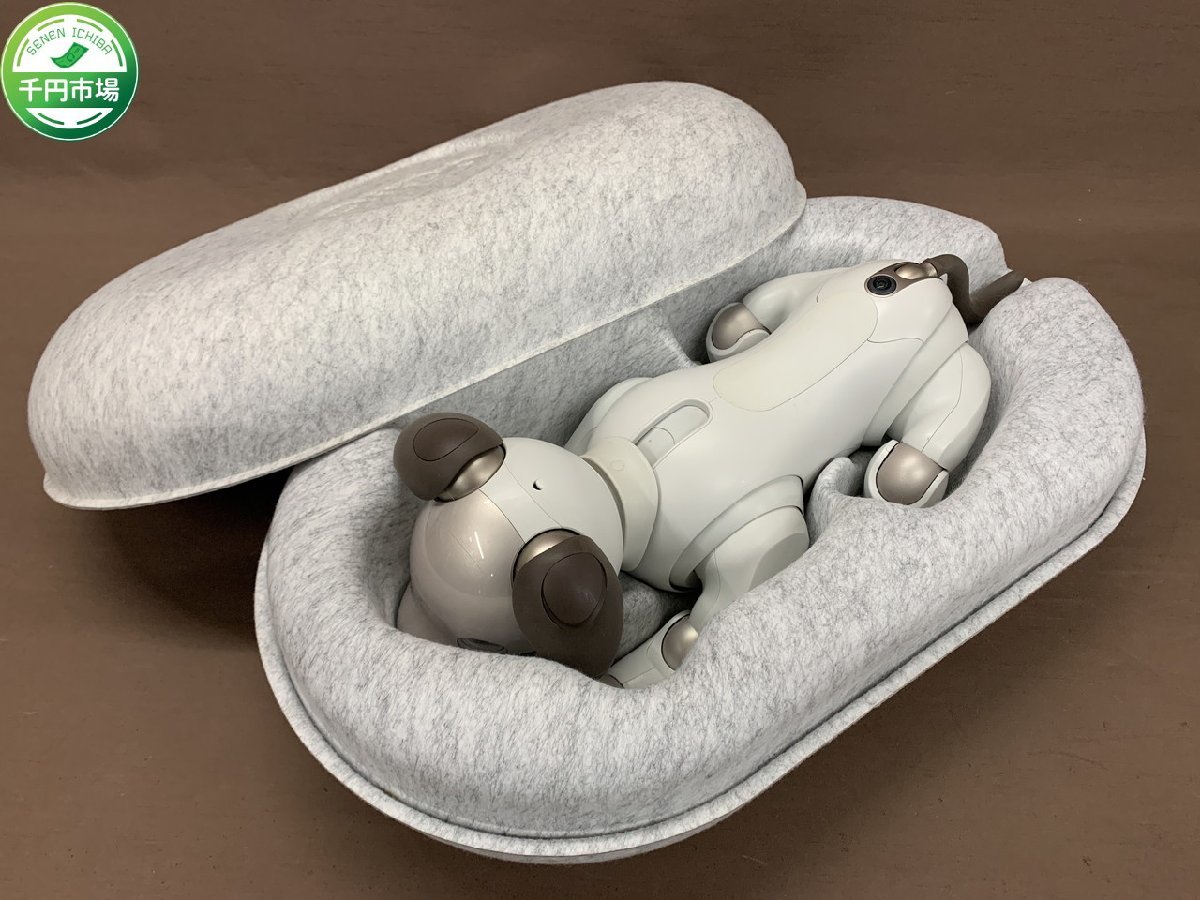 【N2-1141】SONY ERS-1000 ソニー アイボ AIBO ロボット バーチャルペット ケース付 現状品【千円市場】_画像1