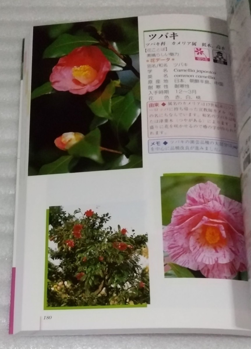  flower. name garden. flower flower shop san. flower gardening shop. flower 522 kind flower word data .. photograph encyclopedia gardening flower arrangement history 9784528016408