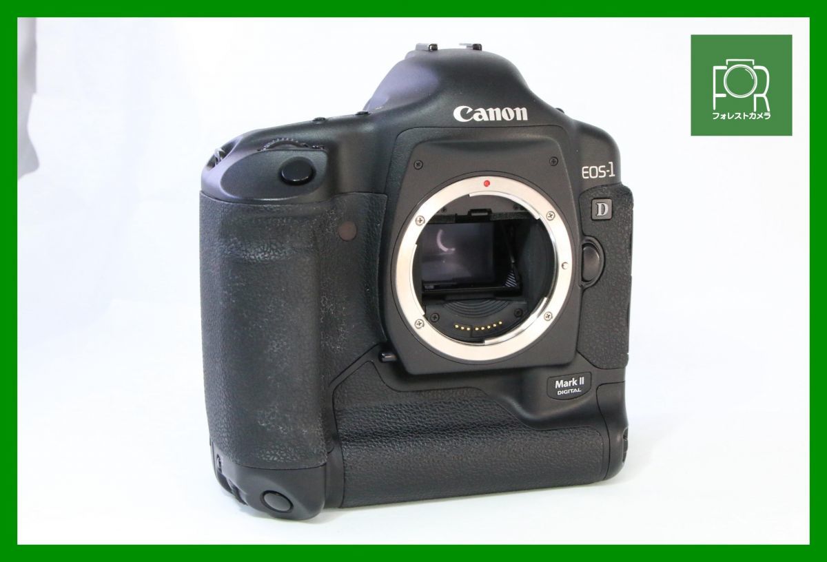 21575円 キヤノン Canon EOS 8000D EF-S 55-250mm 望遠 レンズ 21575円 キヤノン Canon EOS 8000D EF-S 55-250mm 望遠 レンズ