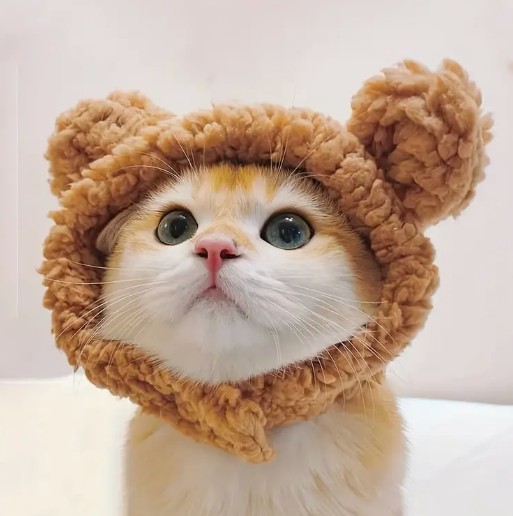 「キュートな猫用クマ帽子 - 可愛さ倍増アイテム」 猫 コスチューム ペット_画像1