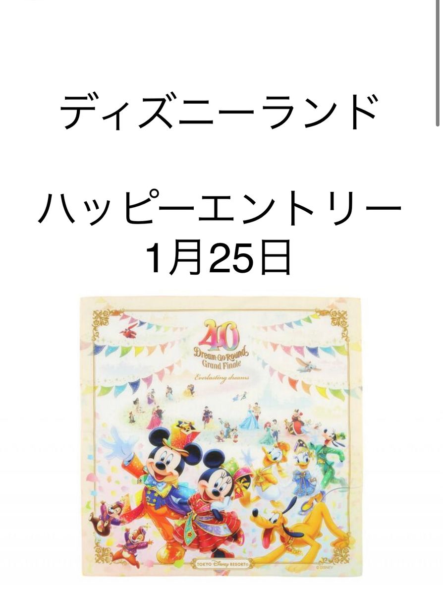 ディズニー ハッピーエントリー 1月25日大人2枚 東京 ディズニー ハッピーエントリー 1月25日大人2枚 東京