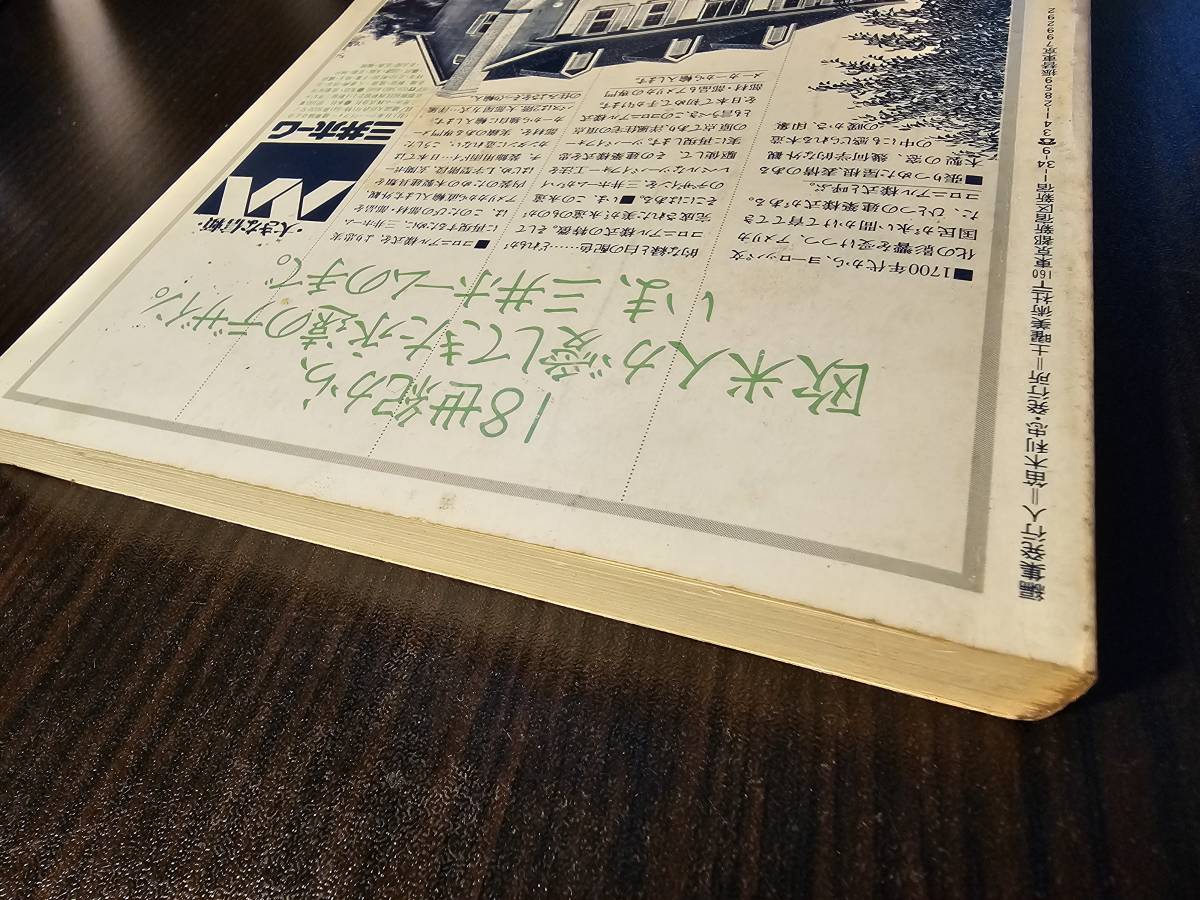 同時代批評 3 詩と思想8月号・増刊 幻想パニック・神話 民衆は幻想する / 土曜美術社 / 五木寛之_画像3