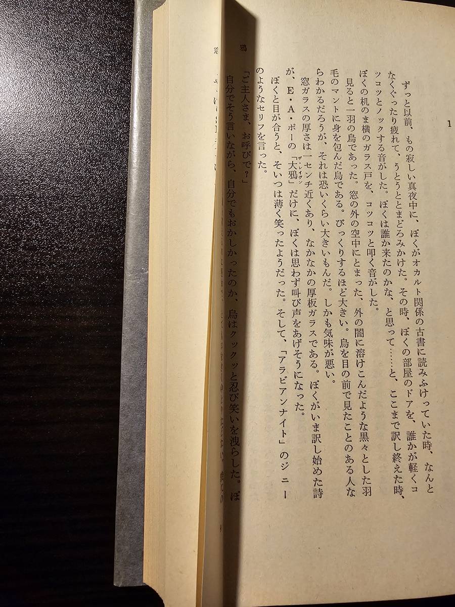 イースター菌 / 著者 式貴士 / ソニー出版