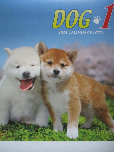 DOG１　犬　壁掛けカレンダー　２０２４_画像1