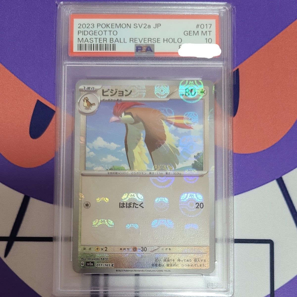 ピジョン マスターボール psa10|Yahoo!フリマ(旧PayPayフリマ) ピジョン マスターボール psa10|Yahoo!フリマ(旧PayPayフリマ)