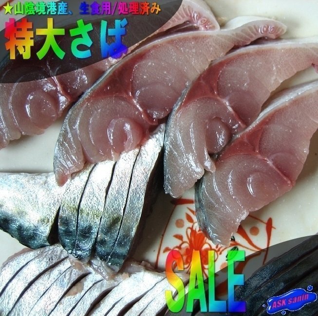 生食用「特大、真さば500g位」天然物/お生食用/処理済み、山陰境港産_画像1