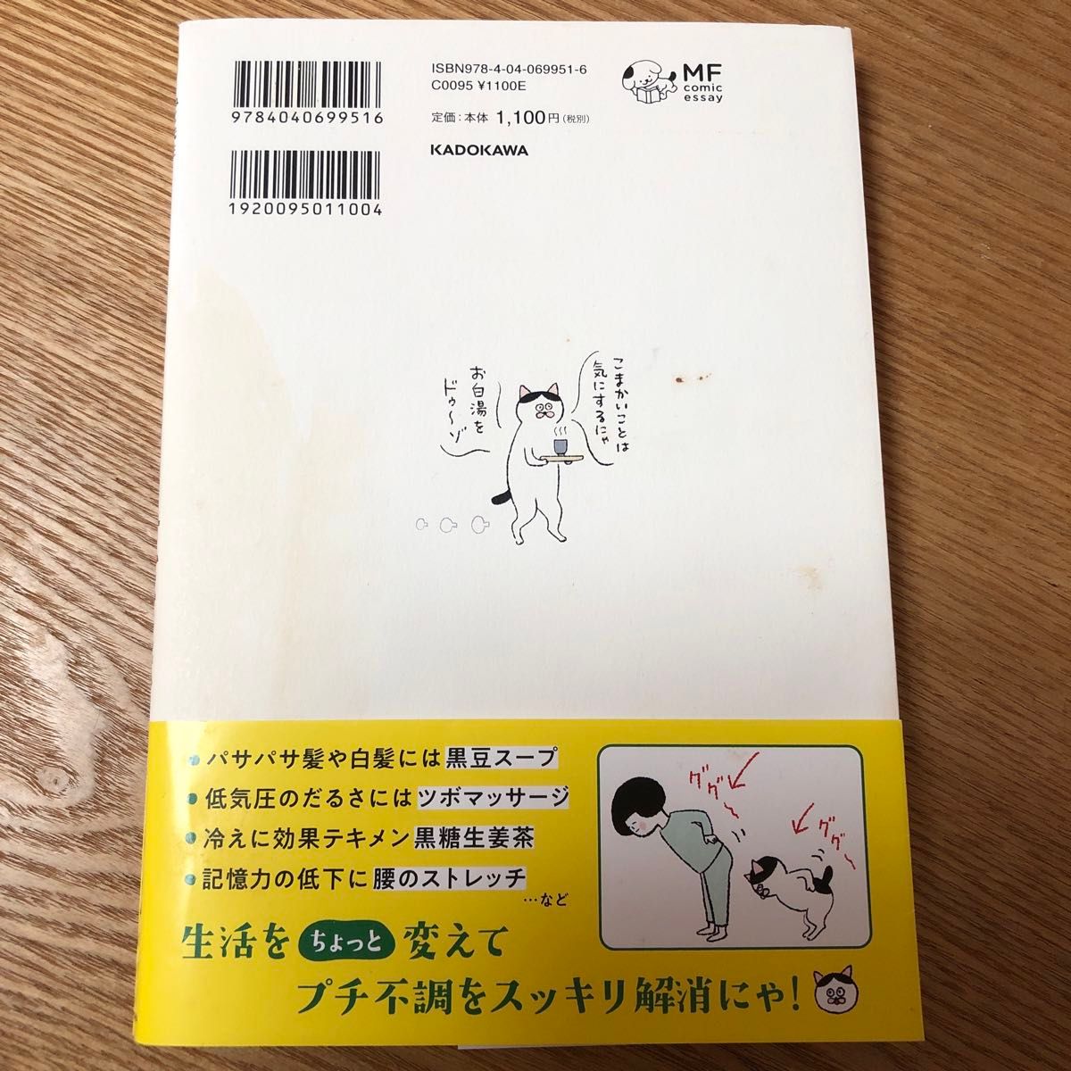 ねこ先生トト・ノエルに教わるゆるゆる健康法 （ＭＦ　ｃｏｍｉｃ　ｅｓｓａｙ　レタスコミックエッセイ） ｓｉｍｉｃｏ著　櫻井大典監修