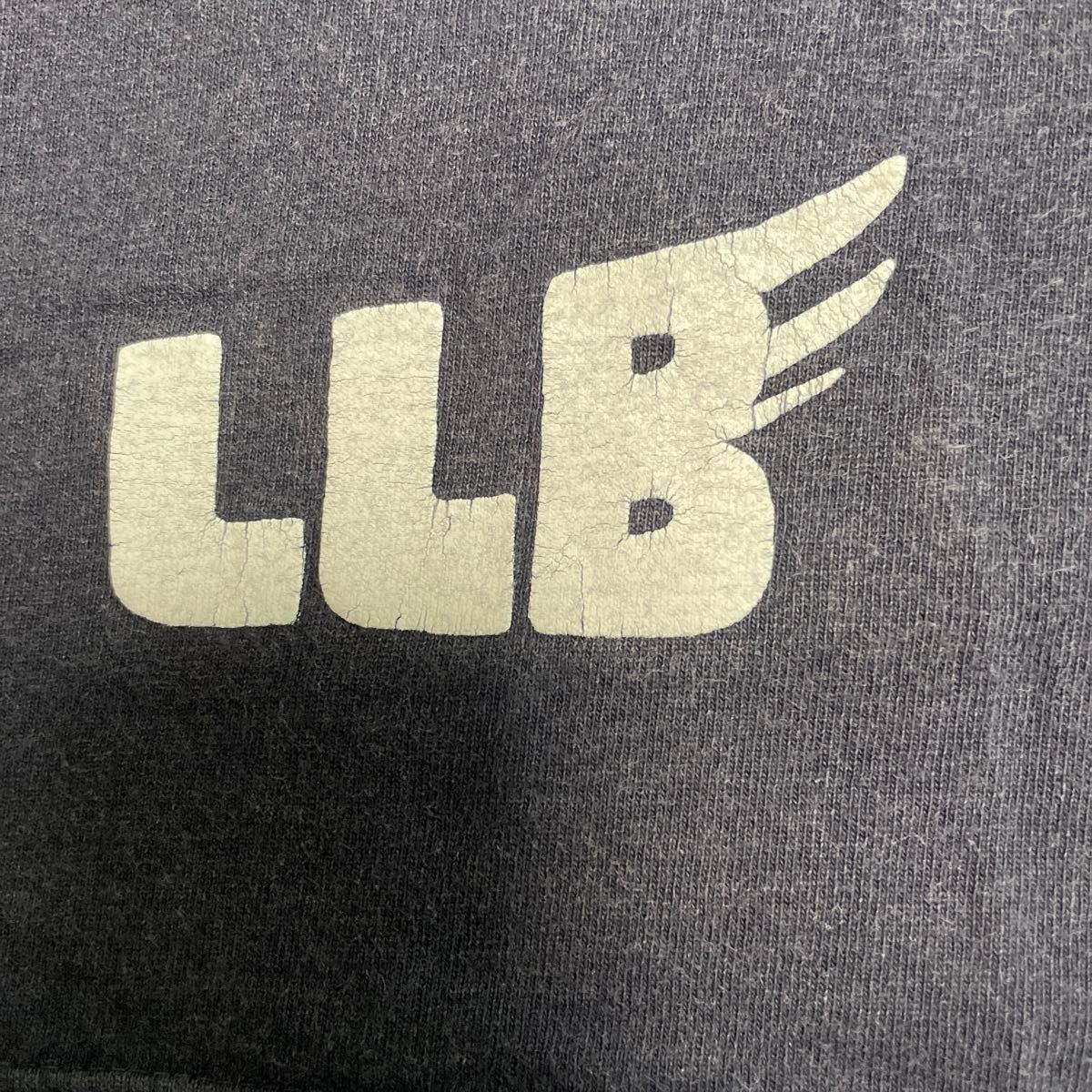ランドリー　Laundry LLB レインボー　Tシャツ Mサイズ_画像3