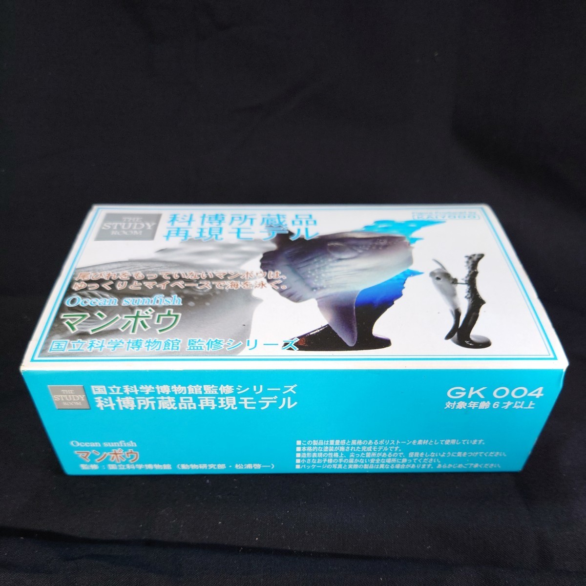 海洋堂 科博所蔵品 再現モデル マンボウ 国立科学博物館 監修シリーズ GK004 Ocean sunfish KAIYODO フィギア _画像7