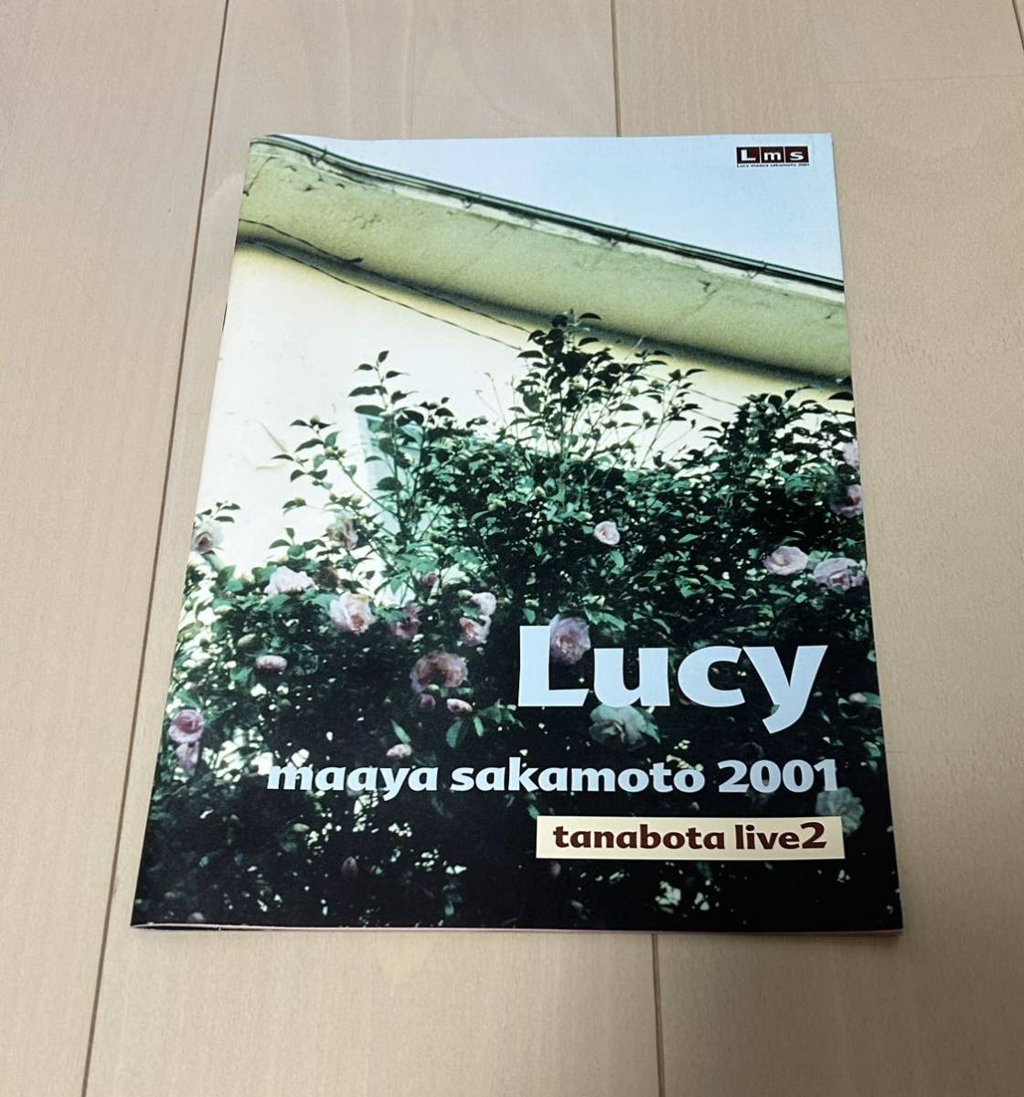 坂本真綾　タナボタ2 パンフレット　ケース　ポストカード　声優　菅野よう子　ライブ　Lucy_画像1