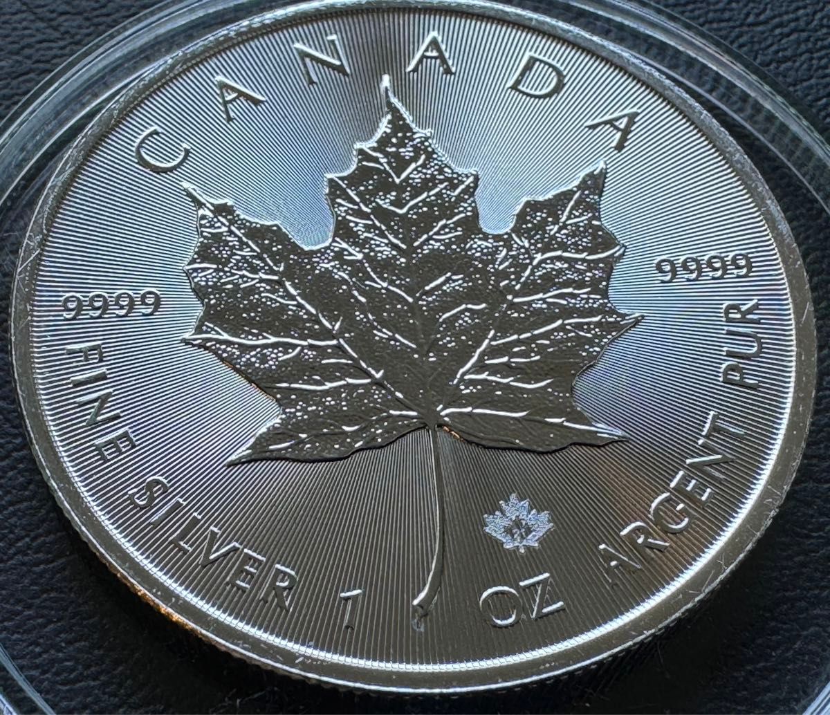1枚2021年 31.1g カナダ メイプルリーフ 純銀 コインプラスチックケース付きx
