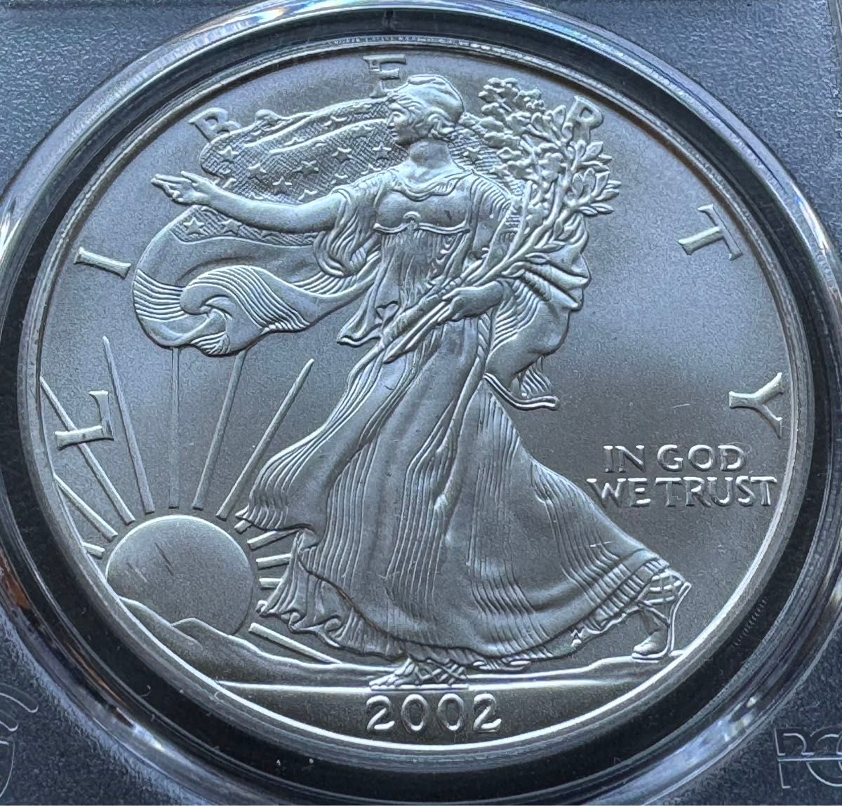 イーグル銀貨1オンス,2002年PCGS鑑定(MS69)  