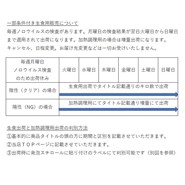 生食用 殻付き 牡蠣 ４ｋｇ（28~70粒）牡蠣 殻付き 牡蛎 カキ 加熱出荷時増量５ｋｇ 牡蛎 牡蠣殻付き 殻付き牡蠣 _画像10