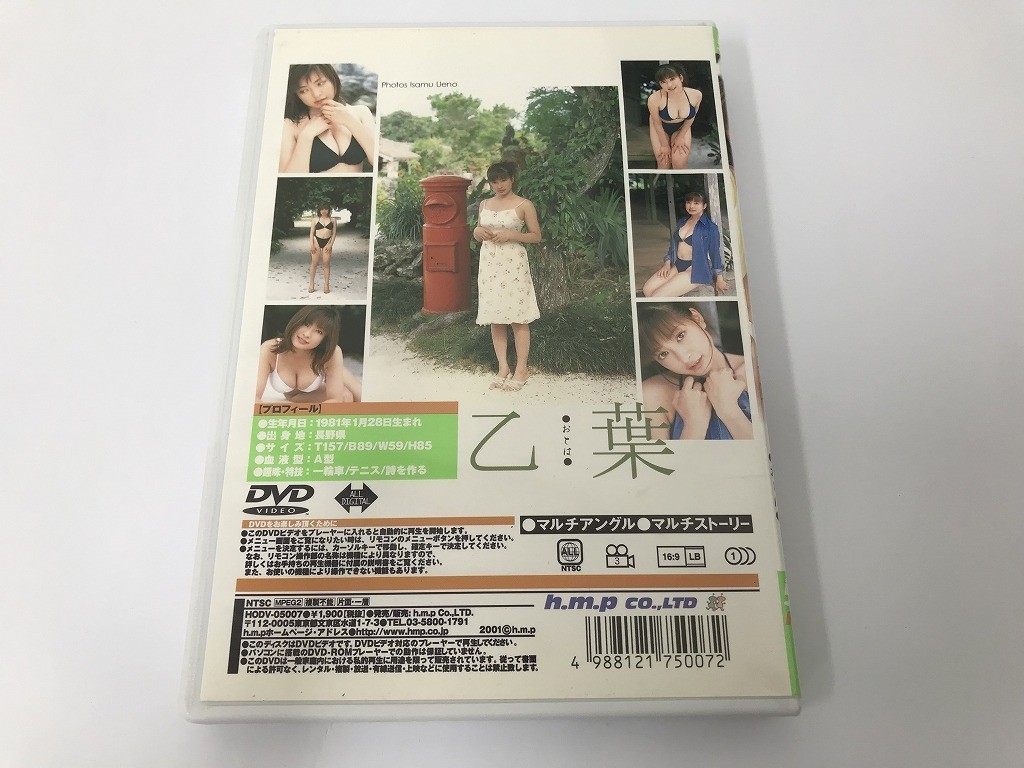 TD646 乙葉 スペシャルDVD 【DVD】 804_画像2