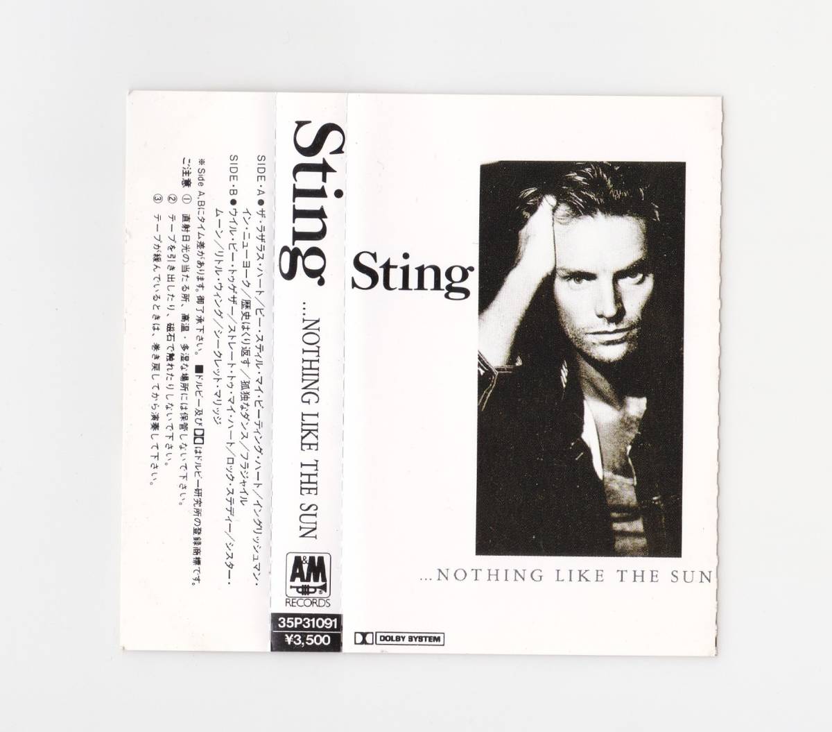 #ナッシング・ライク・ザ・サン #スティング #Sting #Nothing Like the Sun #イングリッシュマン・イン・ニューヨーク_画像1