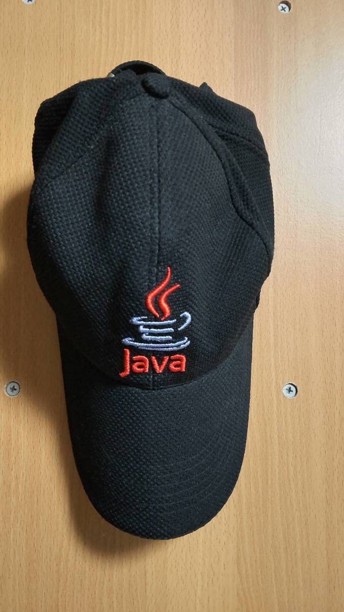 激レア #JAVA #キャップ #Sun Microsystems #サン・マイクロシステムズ #帽子の画像5