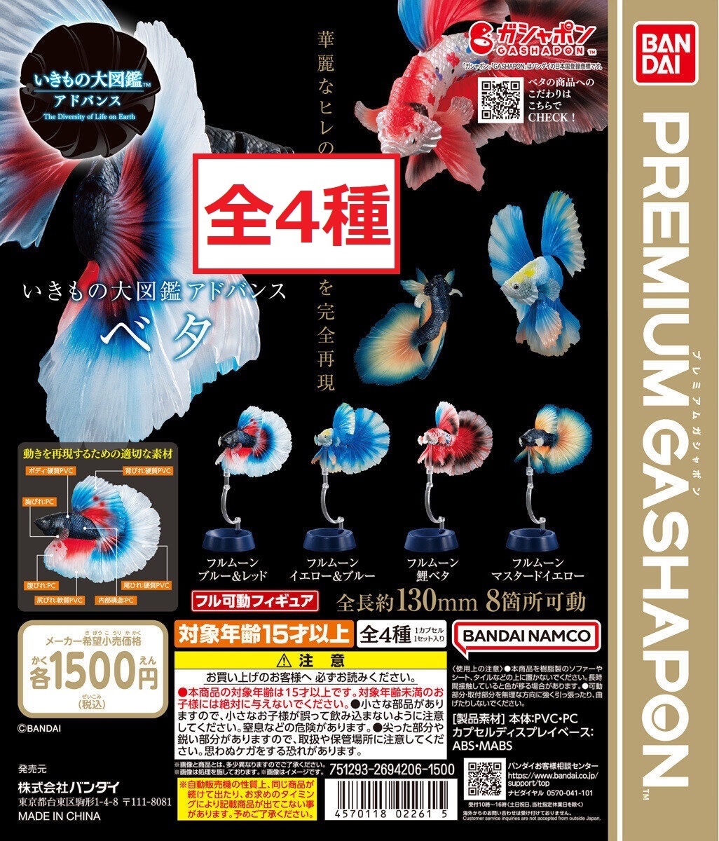 ☆送料無料 いきもの大図鑑アドバンス ベタ 全4種 プレミアムガシャポン PREMIUM GASHAPON ガチャガチャ Betta 闘魚 魚 生き物_画像1