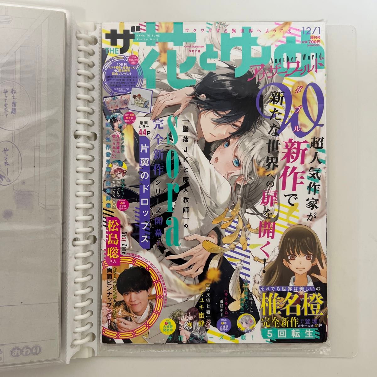 『墜落JKと廃人教師』『片翼のドロップス』『君がキライな恋の話』＊花とゆめ＊切り抜き＊単話