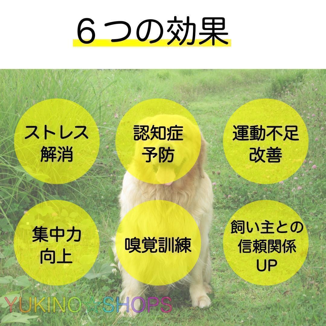 12本 ノーズワーク 犬 おもちゃ にんじん 知育トイ　マット　ペット A1_画像2