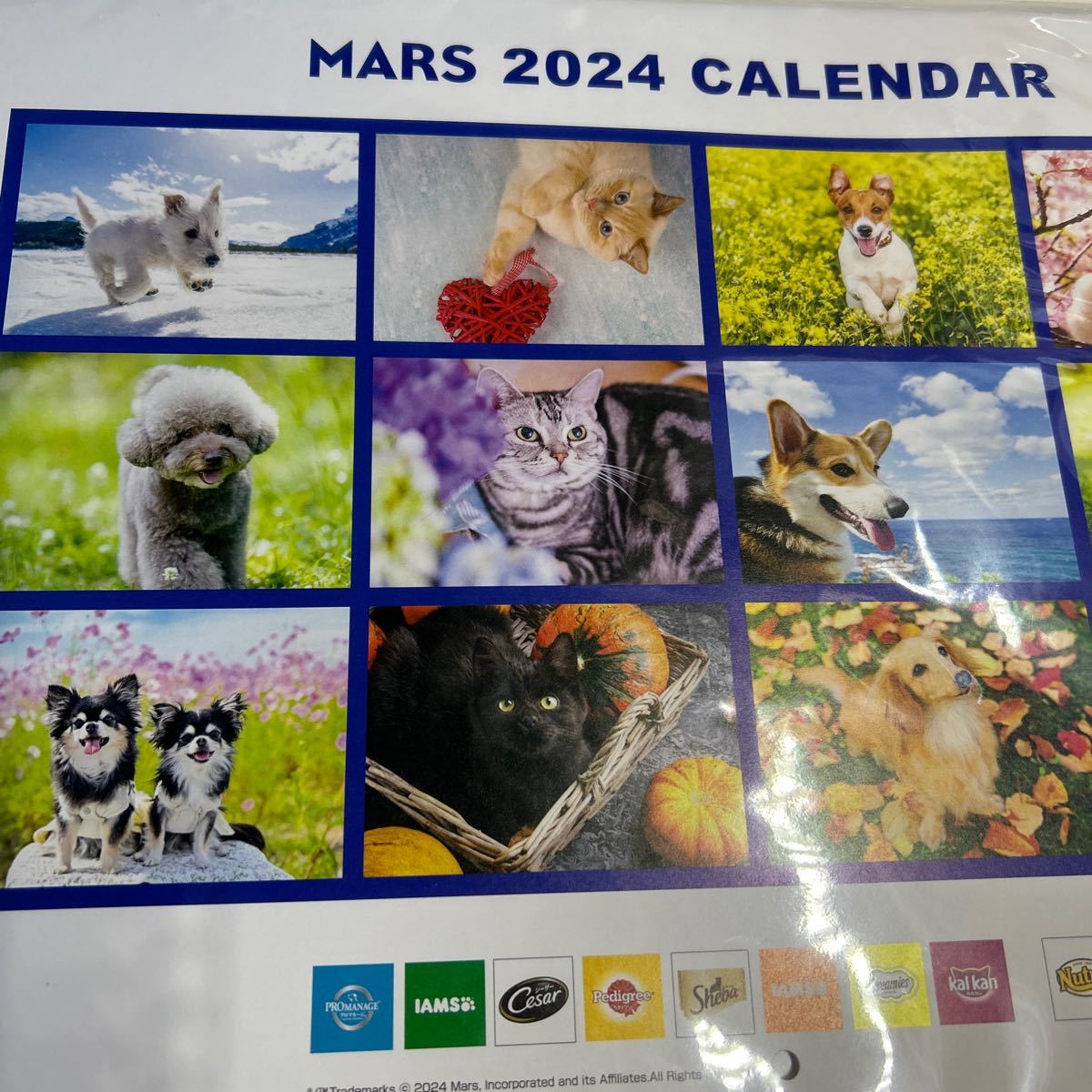 mars ２０２４年　カレンダー 犬 いぬ　イヌ　猫 　ねこ　ネコ_画像3