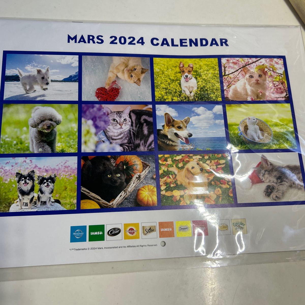 mars ２０２４年　カレンダー 犬 いぬ　イヌ　猫 　ねこ　ネコ_画像1