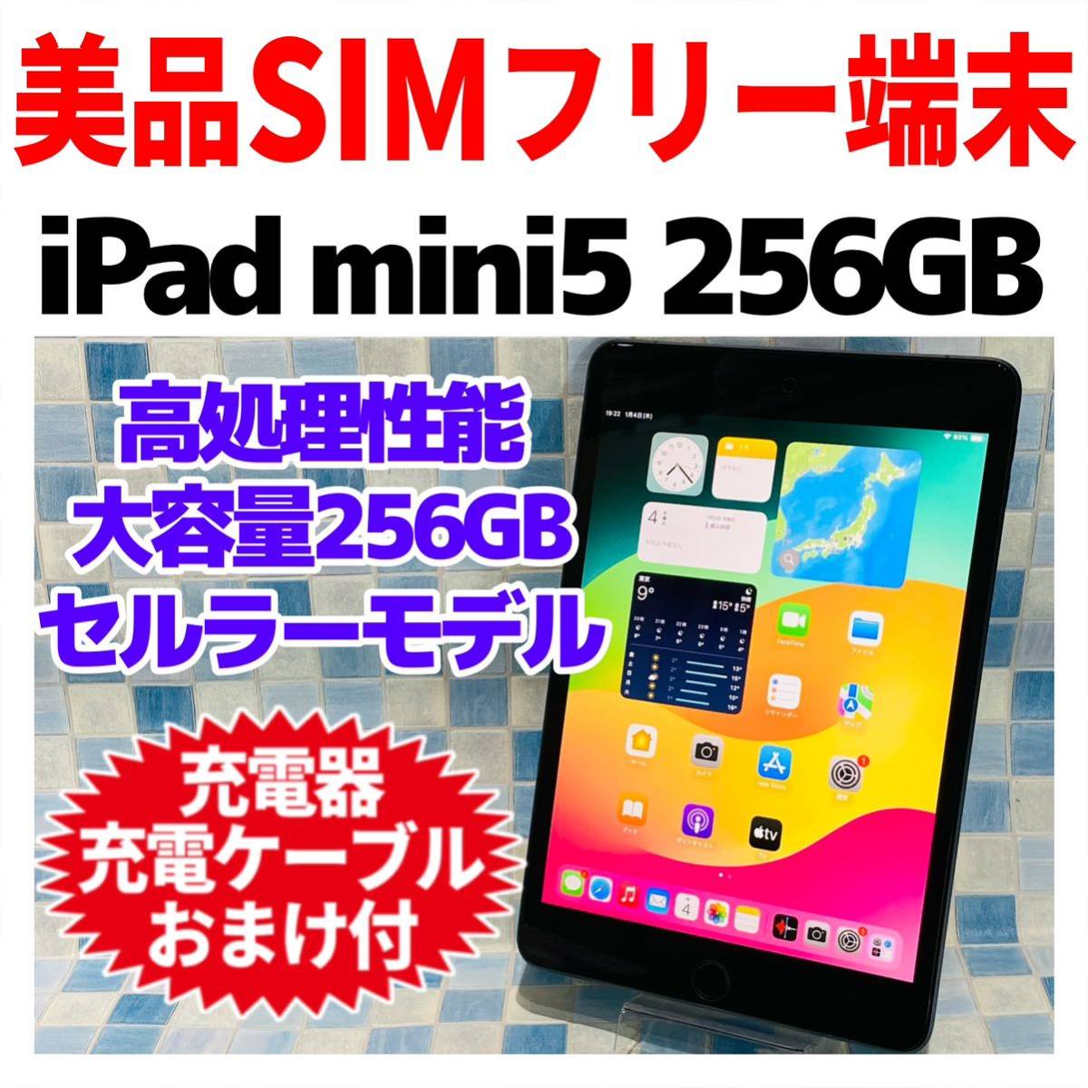 美品 SIMフリー iPad mini5 本体 256GB WiFi+Cellular スペースグレイ