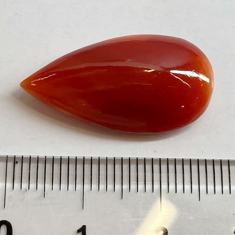 ［天然本珊瑚2.90g］J 14.543ct 25.6×14.0mm ルース 裸石 コーラル サンゴ coral さんご　宝石 ジュエリー jewerly テEB0_画像1