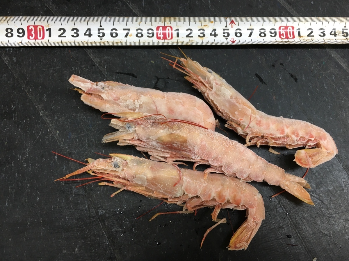 * bottom price prompt decision with translation special price!! very popular!. sashimi for red shrimp middle size L3