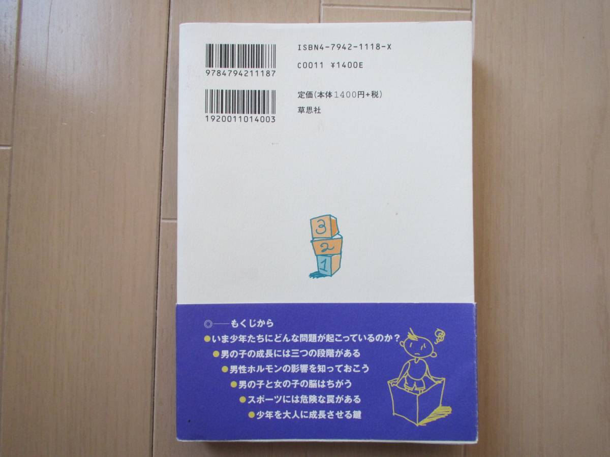 ●ユーズド 「男の子って、どうしてこうなの？」 スティーブ・ビダルフ著 菅靖彦訳 草思社_画像2