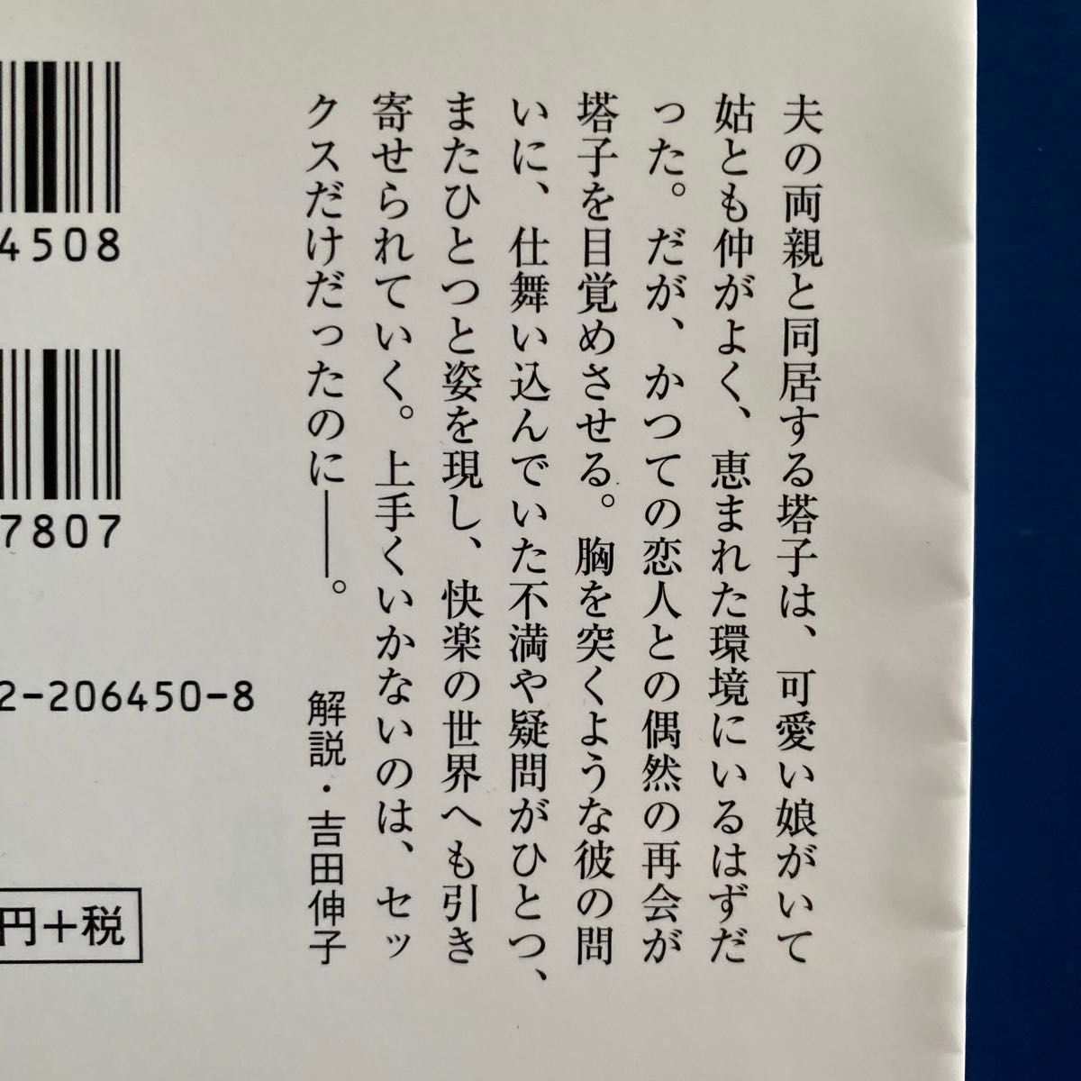 Ｒｅｄ （中公文庫　し４６－３） 島本理生／著