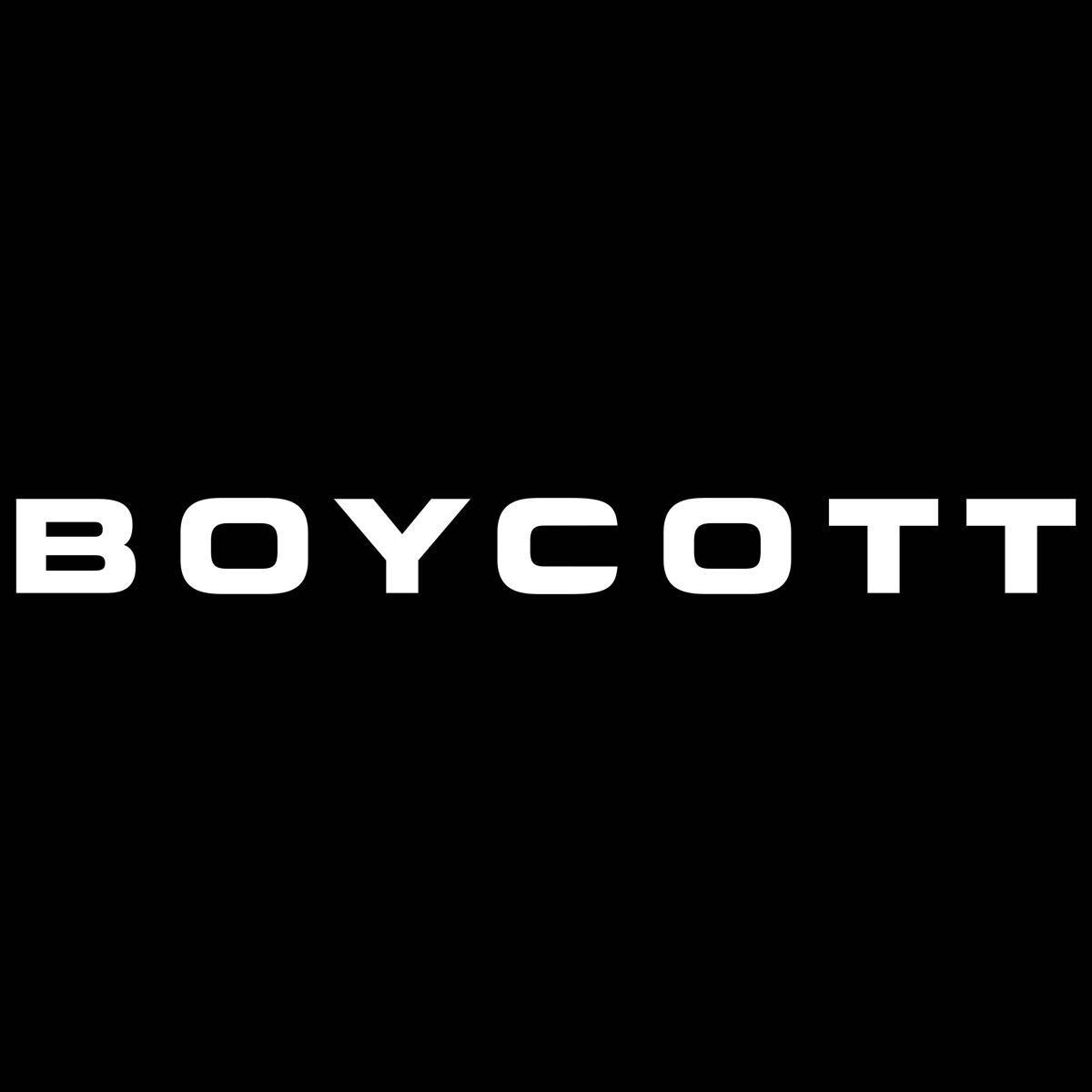 BOYCOTT ボイコット ワールド スエード ベロア アルカンターラ ダウンジャケット フード&ファー付き ブラック Lサイズ