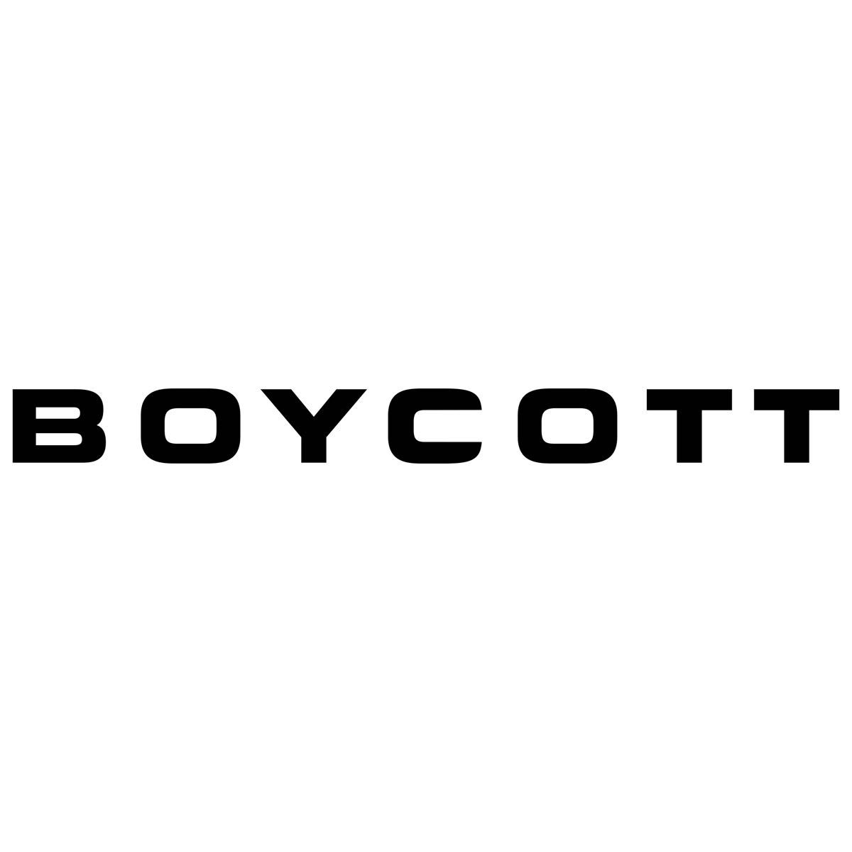 BOYCOTT ボイコット ワールド スエード ベロア アルカンターラ ダウンジャケット フード&ファー付き ブラック Lサイズ