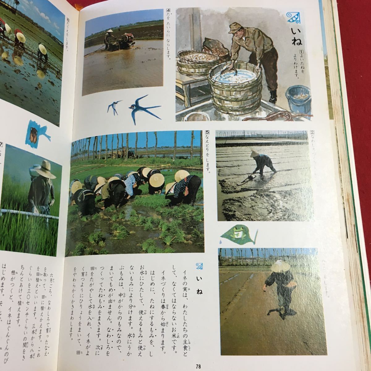 S7h-228 学習こども百科 第1巻 1974年10月1日 第32版発行 学習研究社 事典 図鑑 雑学 科学 自然 用語集 知識 動物 一般常識 童話 遊び 趣味_画像8