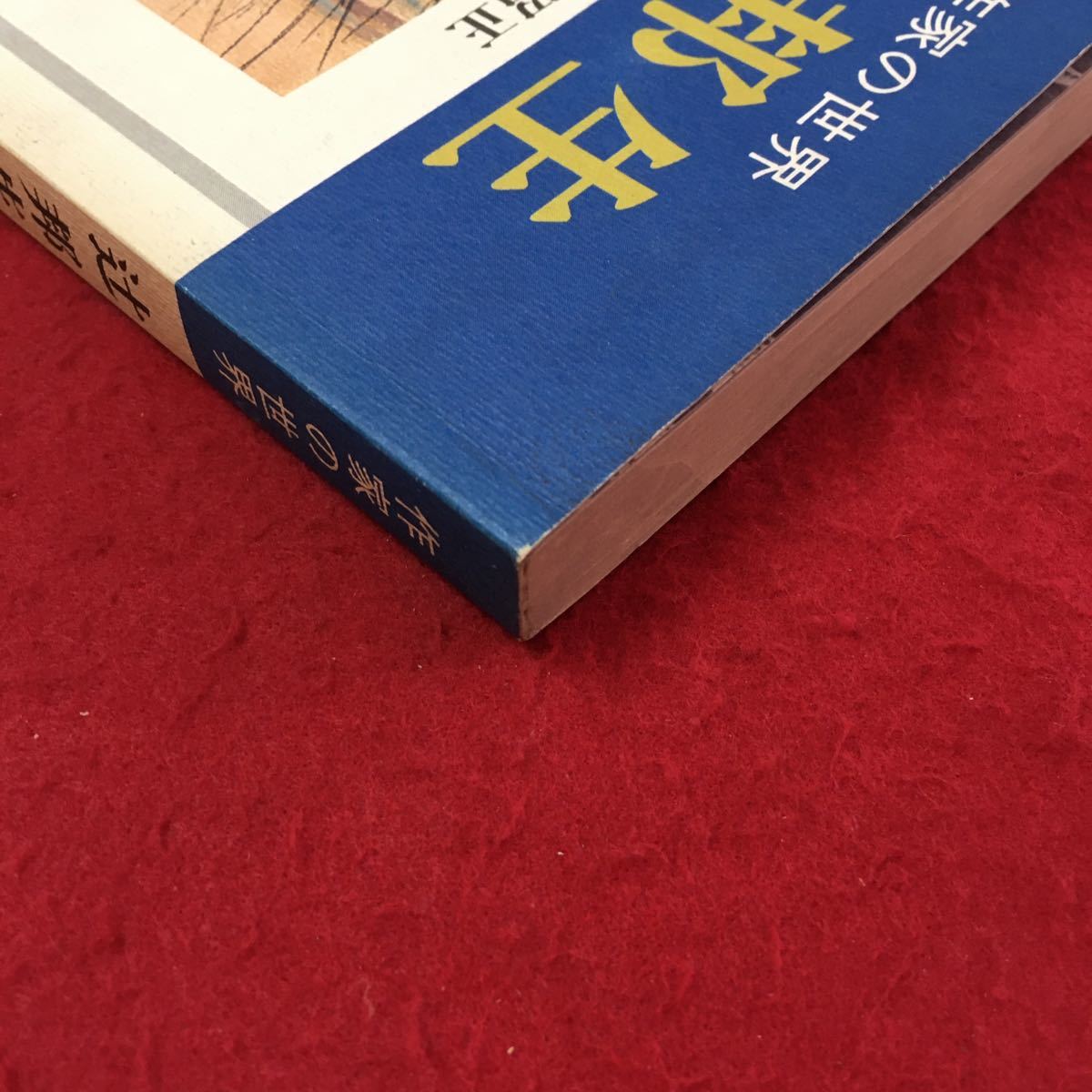 S7h-260 作家の世界 辻 邦生 歴史のロマネスク 辻郁生について 北の岬 時代と美との関係 昭和53年5月23日 三版発行_画像3