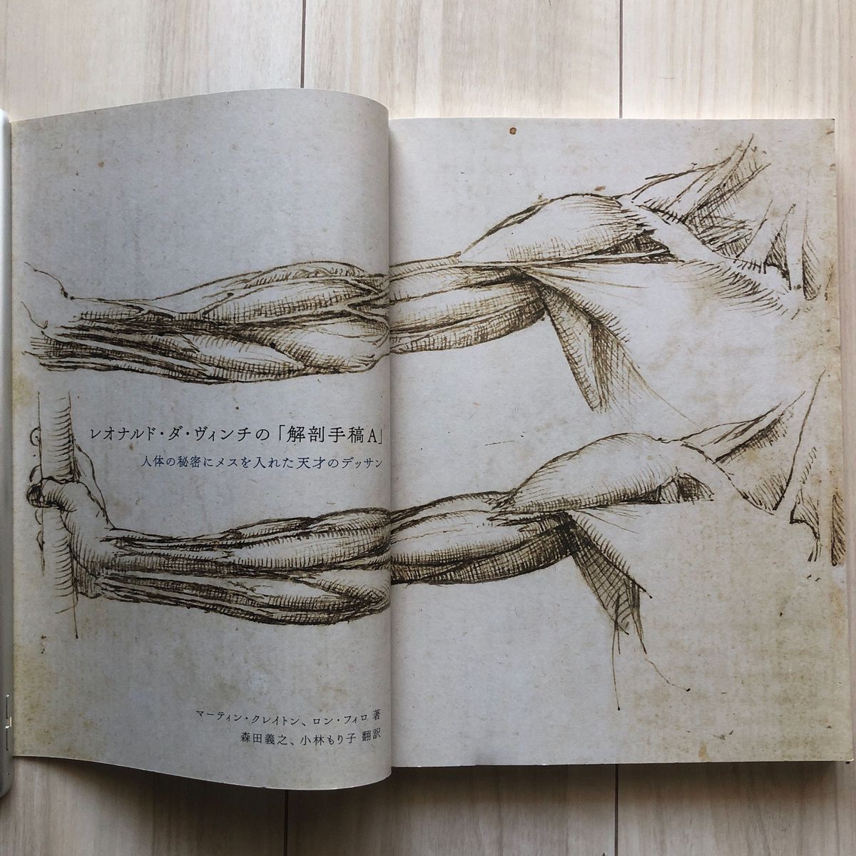 レオナルド・ダ・ヴィンチの「解剖手稿A」 人体の秘密にメスを入れた天才のデッサン