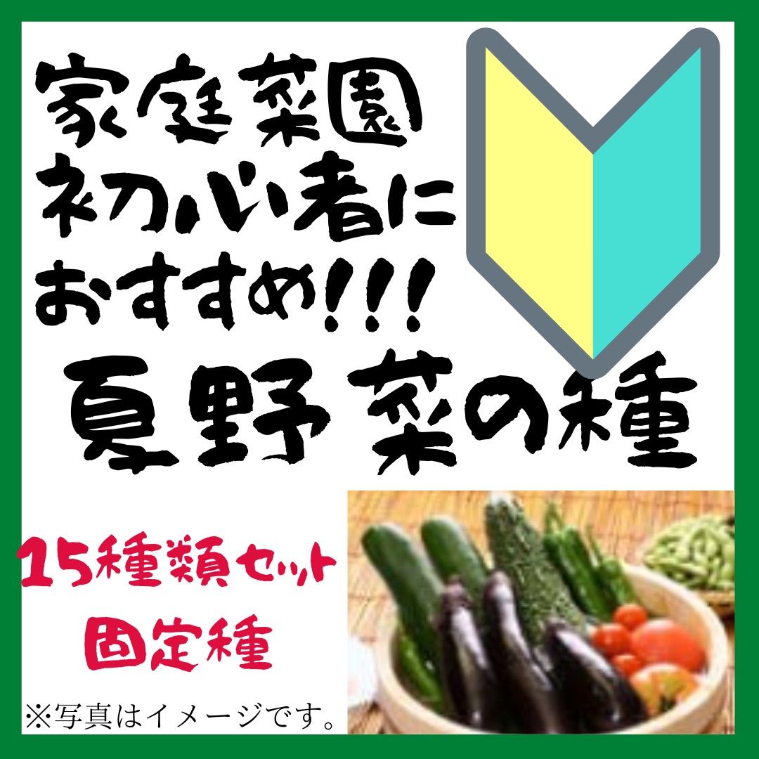 夏　野菜の種　種子　家庭菜園の初心者におすすめ　15種の固定種【2023年-2】